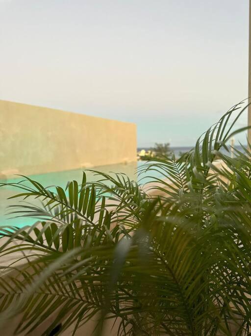 Breathtaking Ph 5thav Ocean View Private Pool Roof Apartamento *